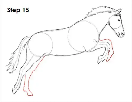 Draw a Horse Jumping 15