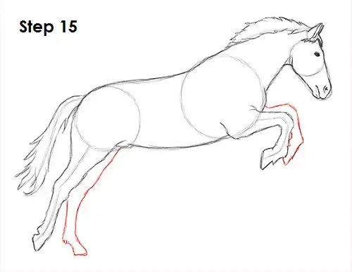 How To Draw A Horse Jumping