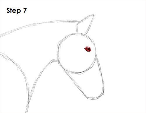 Draw a Horse Jumping 7
