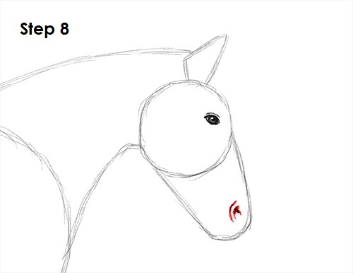 Draw a Horse Jumping 8