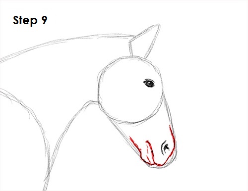 Draw a Horse Jumping 9