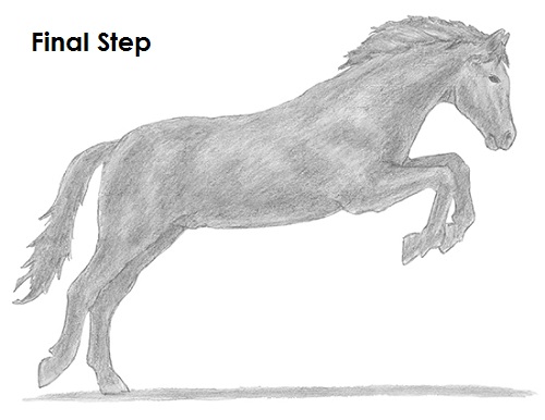 Draw a Horse Jumping