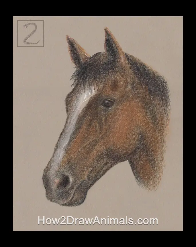Horse Portrait Drawing