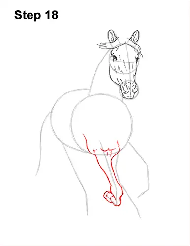 How to Draw Horse Running Front Forward 18