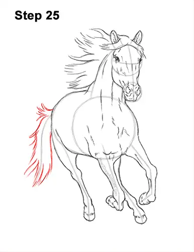 How to Draw a Horse Running (Front View) VIDEO & Step-by-Step Pictures