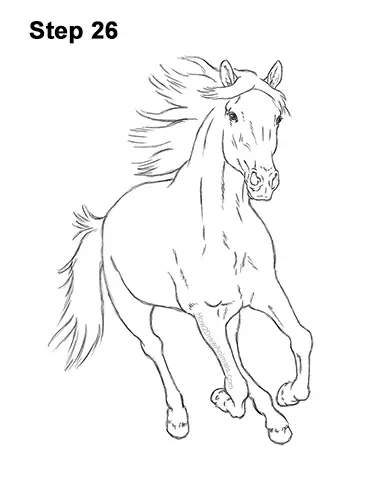 How to Draw Horse Running Front Forward 26