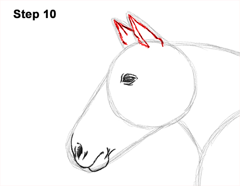 Draw Running Horse 10