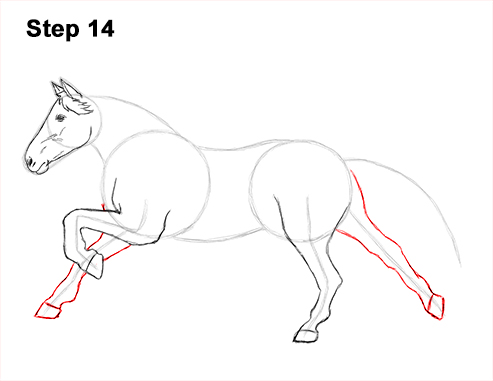 Draw Running Horse 14