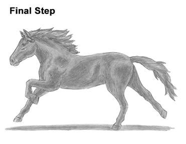 how to draw a horse galloping
