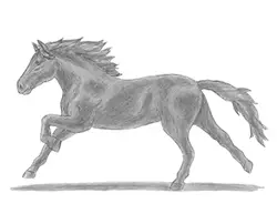 How to Draw Horse Running