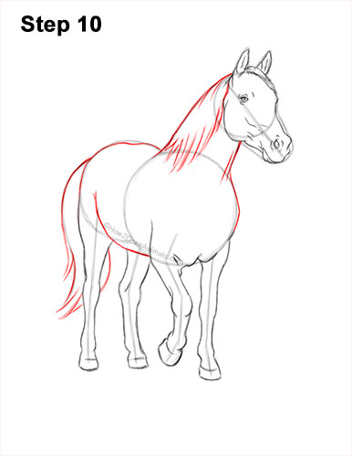 How to Draw a Horse Three Quarter Front View Walking 10