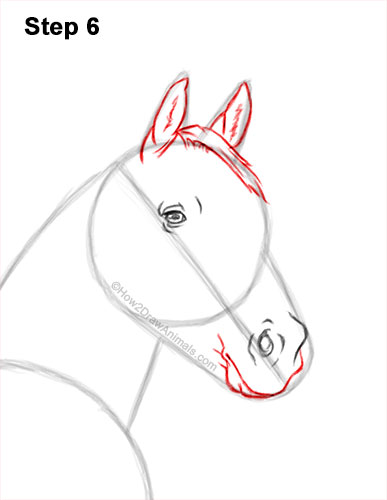 How to Draw a Horse Three Quarter Front View Walking 6