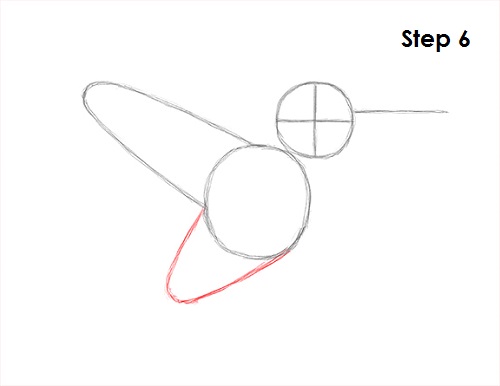 Draw Hummingbird 6