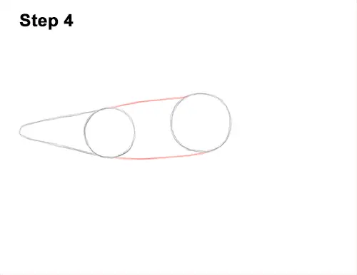 How to Draw Humpback Whale Side 4