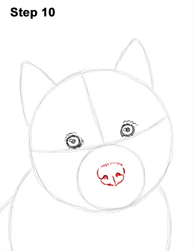 Draw Husky Puppy Dog 10