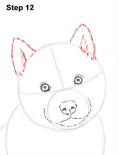 Draw Husky Puppy Dog 12