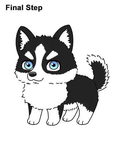 How to Draw a Cute Chibi Little Mini Cartoon Husky Puppy Dog