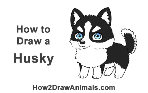 How to Draw a Cute Chibi Little Mini Cartoon Husky Puppy Dog