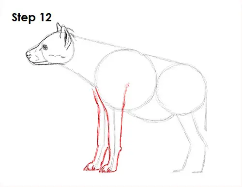 Draw Hyena 12