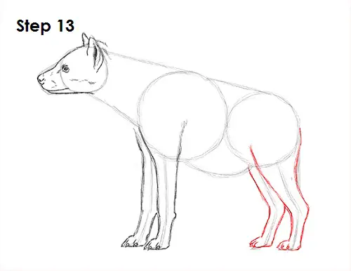 Draw Hyena 13