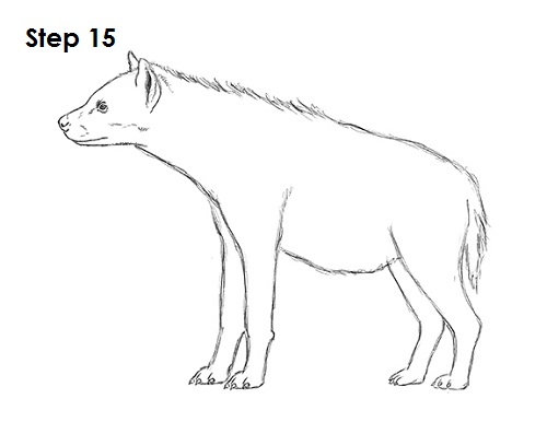 Draw Hyena 15