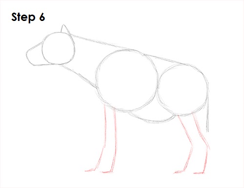 Draw Hyena 6
