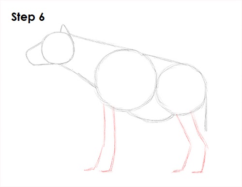 How to Draw a Hyena