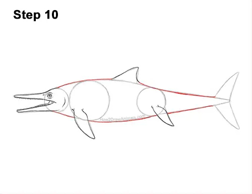 How to Draw an Ichthyosaurus Dinosaur Side View 10