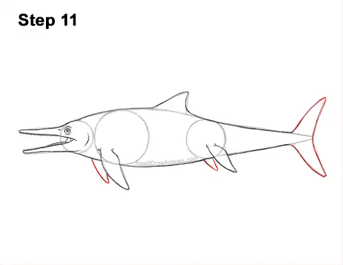 How to Draw an Ichthyosaurus Dinosaur Side View 11