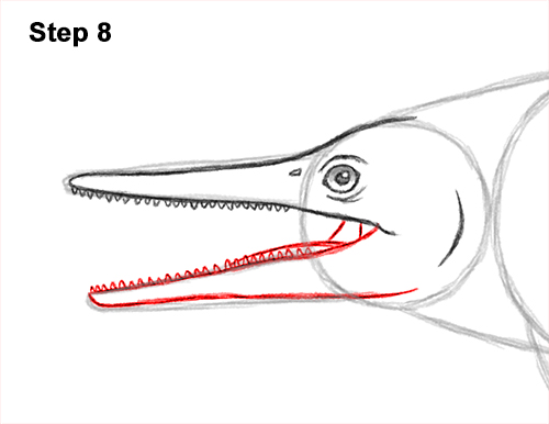 How to Draw an Ichthyosaurus Dinosaur Side View 8