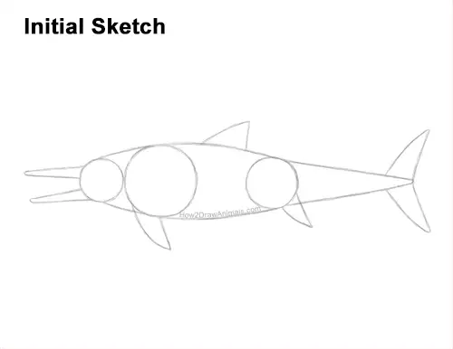How to Draw an Ichthyosaurus Dinosaur Side View Guides Lines