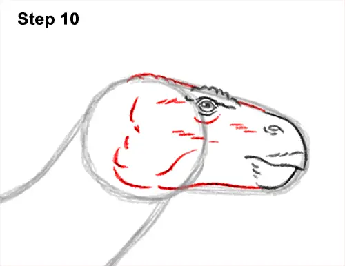 How to Draw an Iguanodon Dinosaur Side 10