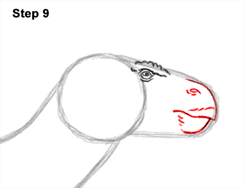 How to Draw an Iguanodon Dinosaur Side 9