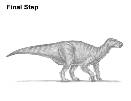 How to Draw an Iguanodon Dinosaur Side