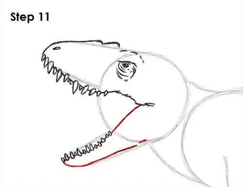 Draw Indominus Rex Dinosaur 11