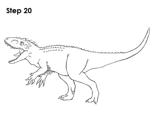 Draw Indominus Rex Dinosaur 20