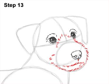 Learn How to Draw an Easy Puppy – Dogster