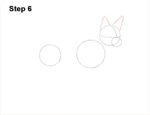 How to Draw a Black Backed Jackal Side 6