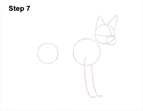 How to Draw a Black Backed Jackal Side 7