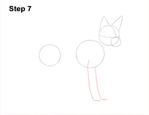 How to Draw a Jackal VIDEO & Step-by-Step Pictures