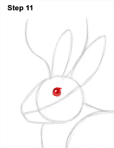 How to Draw a Jackalope Rabbit Antlers 11