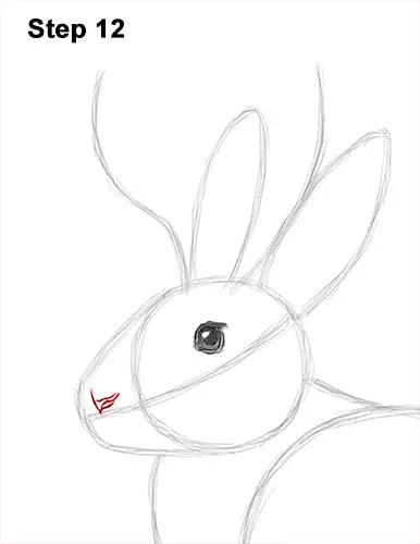 How to Draw a Jackalope Rabbit Antlers 12