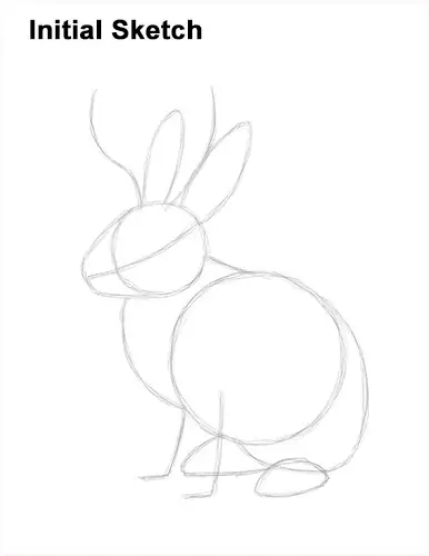 How to Draw a Jackalope Rabbit Antlers Guide Lines