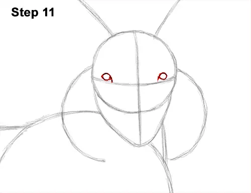 How to Draw Jacob Sheep Four Horns Ram 11