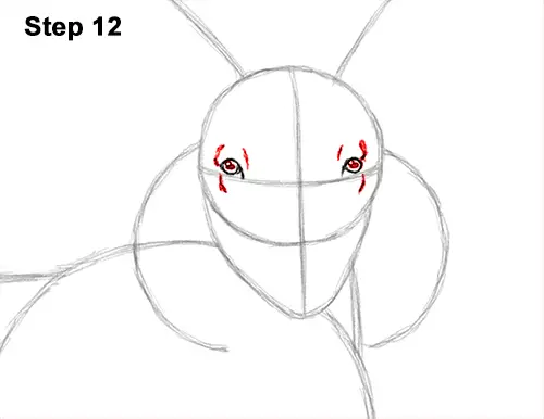 How to Draw Jacob Sheep Four Horns Ram 12