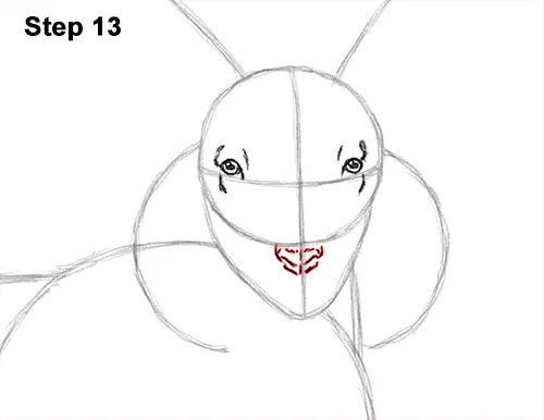 How to Draw Jacob Sheep Four Horns Ram 13
