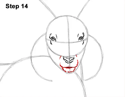 How to Draw Jacob Sheep Four Horns Ram 14