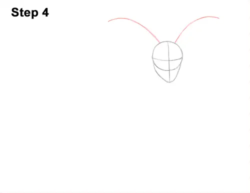 How to Draw Jacob Sheep Four Horns Ram 4