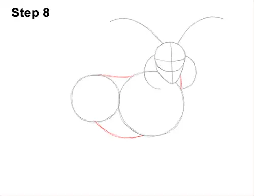 How to Draw Jacob Sheep Four Horns Ram 8