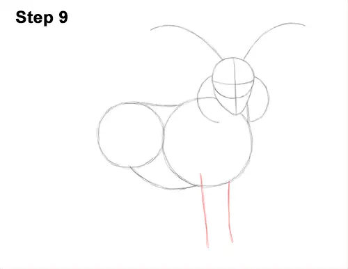 How to Draw Jacob Sheep Four Horns Ram 9